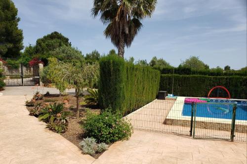 蒙塞拉特Casa Breizh的一个带游泳池和棕榈树的花园
