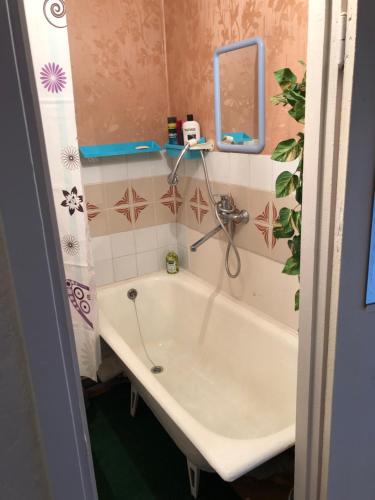 AhtmeAhtme mnt apartaments的带浴缸、镜子和盥洗盆的浴室