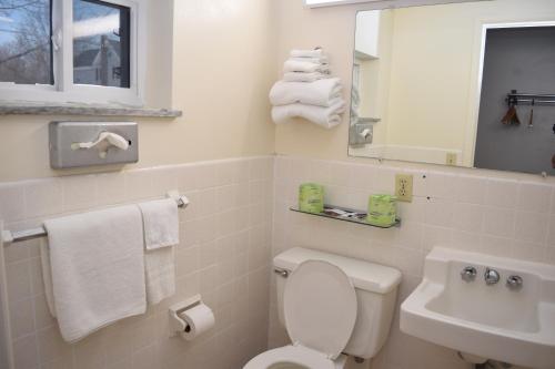 奥斯威戈奥斯威戈东骑士汽车旅馆的一间带卫生间、水槽和镜子的浴室