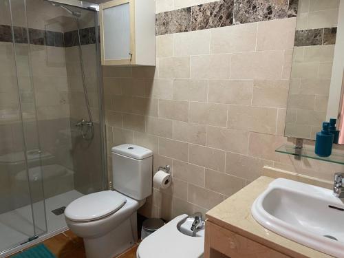 阿尔梅利马Apartamentos Mar Azul的浴室配有卫生间、盥洗盆和淋浴。
