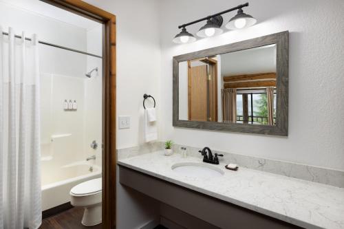 克奇坎Salmon Falls Resort的一间带水槽和镜子的浴室