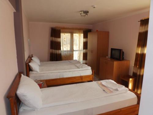 特尔马丘Pensiunea Oșencuța的酒店客房设有两张床和电视。