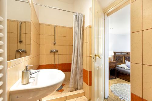 布达佩斯Cedar Inn Budapest - Palace District的一间带水槽和淋浴的浴室