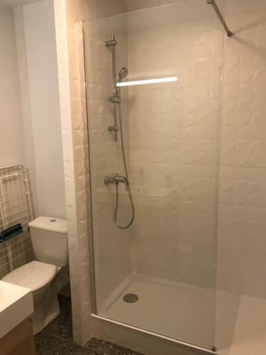 拉蒙维尔圣阿尼Appartement - cœur de Ramonville的浴室里设有玻璃门淋浴