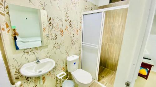 阿瓜奇卡Hotel Villa Paraguay的一间带水槽、卫生间和镜子的浴室