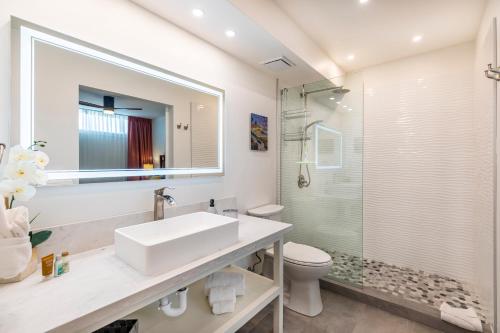 帕依亚RARE Upscale Oasis - 2 Bed,2 Bath - Kuau Plaza - Paia的一间带水槽、卫生间和淋浴的浴室