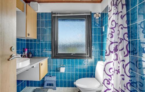 Bogø ByBeautiful Home In Bog By With Kitchen的蓝色瓷砖浴室设有卫生间和窗户