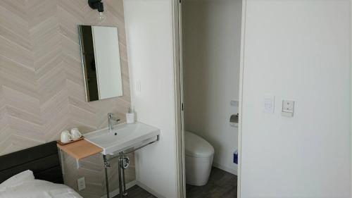 中札内Sarabetsu-mura chiiki Kouryu Center - Vacation STAY 21964v的一间带水槽、卫生间和镜子的浴室