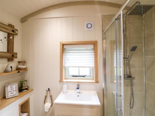 诺丁汉Herbie's Shepherds Hut的一间带水槽和淋浴的浴室