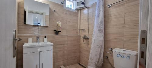 波罗斯Cristina Studio Apartment的带淋浴、盥洗盆和卫生间的浴室