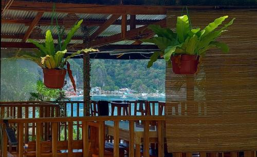 爱妮岛BaleCabugaoCottagesRental的两株盆栽植物挂在木墙上