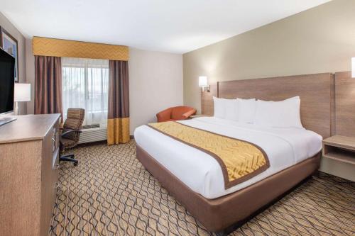 大急流城大急流城机场贝蒙特旅馆套房酒店的酒店客房设有一张大床和一台电视。