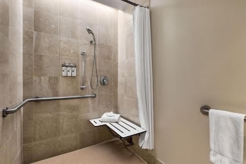 休斯顿休斯顿白玉兰酒店 - 翠贡精选酒店的带淋浴和淋浴座椅的浴室