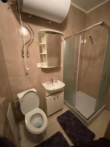 克拉斯拉瓦Mārkalni的浴室配有卫生间、淋浴和盥洗盆。