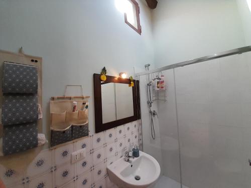 阿梅利亚*La Torre Di Amelia* Nel Cuore Dell' Umbria的一间带水槽、镜子和淋浴的浴室