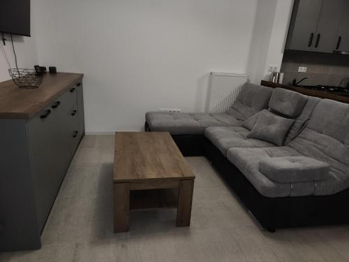 布拉索夫Coder Studio的带沙发和咖啡桌的客厅