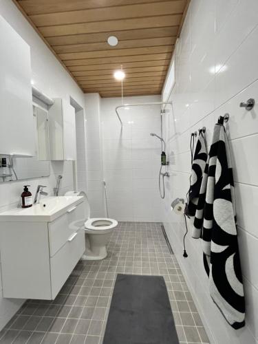 科科拉Pikku Flora的浴室配有卫生间、盥洗盆和淋浴。