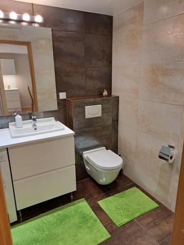 派尔努Aida 7 Guest Apartement的一间带水槽、卫生间和镜子的浴室