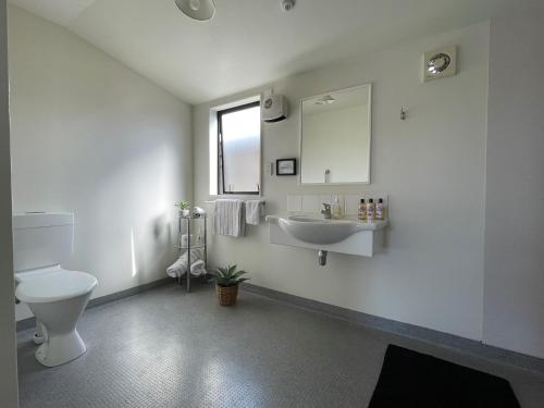 布伦海姆克罗尼尔汽车旅馆的一间带卫生间、水槽和镜子的浴室