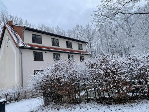 冬天的Apartment am Hochwald