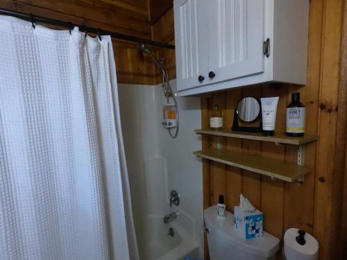 潘圭奇Bryce’s Zion House by Bryce Canyon National Park!的带淋浴帘和卫生间的浴室