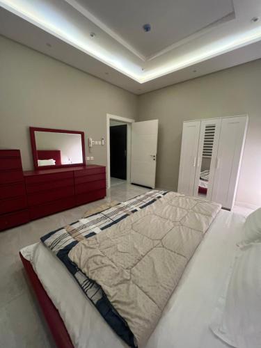 利雅德شقة حديثه حي النرجس تسجيل ذاتي的一间卧室配有一张大床和镜子
