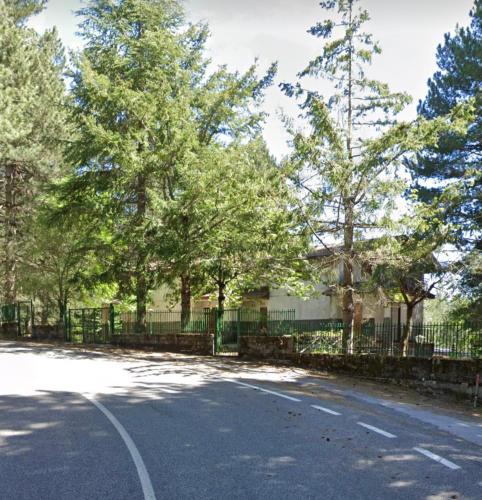 CuturaWhite’s House的一条在路边有栅栏和树木的街道