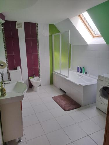 普伦盖Stay at Svaja的浴室配有卫生间水槽和洗衣机。