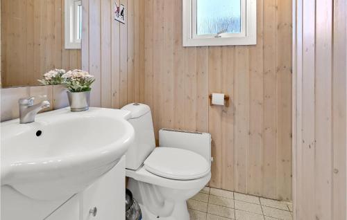 汉斯特霍尔姆Nice Home In Hanstholm With Kitchen的浴室配有白色卫生间和盥洗盆。