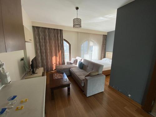 伊斯坦布尔ELİT SUİT的客厅配有沙发和1张床