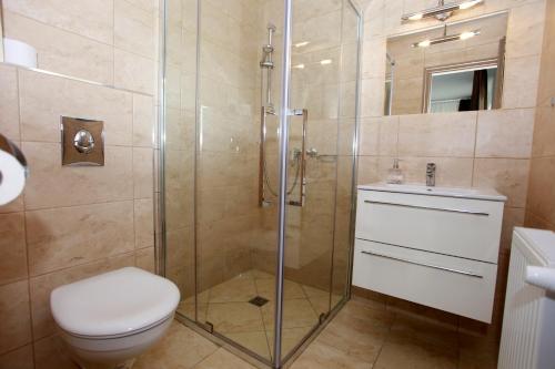 埃格尔Villa Terrasse的带淋浴、卫生间和盥洗盆的浴室