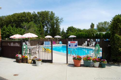 萨默兰罗斯黛尔汽车旅馆的围栏旁的游泳池,配有遮阳伞和盆栽植物