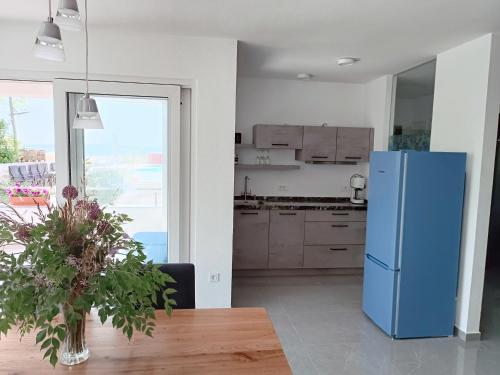 普利拉卡Aparthotel Dalmacija的厨房配有蓝色冰箱和桌子