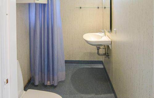 维斯特索马肯3 Bedroom Stunning Home In Aakirkeby的一间带水槽、卫生间和镜子的浴室