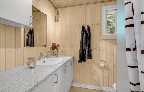 吉斯特拉普Stunning Home In Gistrup With Wifi的一间带水槽和镜子的浴室