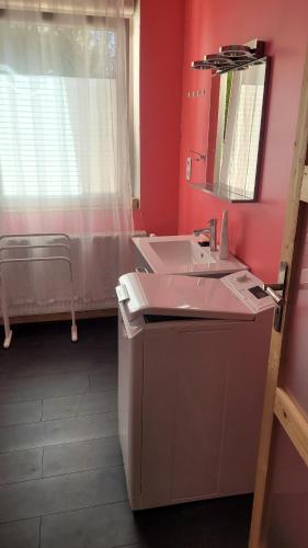 索肖Les Hauts de Sochaux的粉红色的浴室设有水槽和镜子