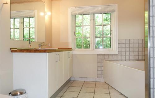 维斯特索马肯Gorgeous Home In Aakirkeby With Wifi的带浴缸、水槽和窗户的浴室