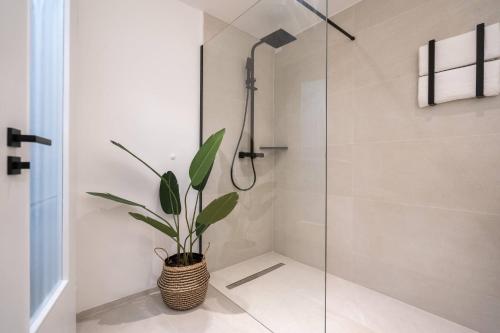 奥格斯堡NEW - Apartment - Augsburg - Universitätsklinikum的浴室设有玻璃淋浴间和盆栽植物