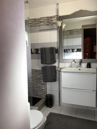 圣洛朗代古兹珍妮旅馆的一间带卫生间和水槽的浴室
