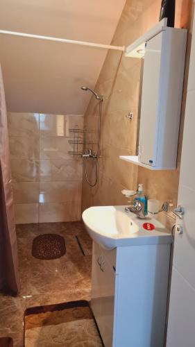 索科矿泉村Apartman Marija的一间带水槽和淋浴的浴室