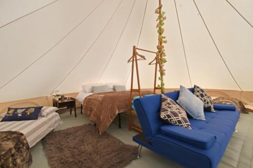 伯青顿Quex Livery Glamping的客厅配有蓝色的沙发和床。