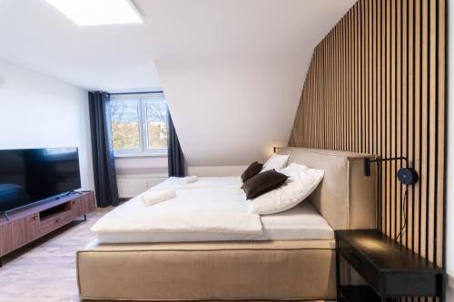 科布伦茨JAWO Apartments Koblenz modern & zentral, Küche & WIFI的一间卧室配有一张大床和电视