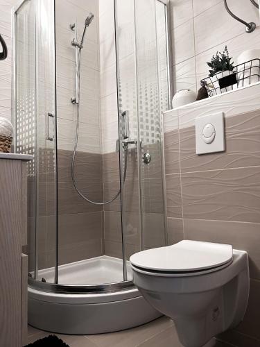 奥西耶克Studio Apartman Lucija的带淋浴和卫生间的浴室