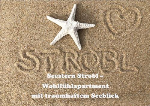 施特罗布尔Seestern Strobl的沙上的海星,用萨萨基恩特年会的话说