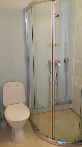 Bånjakas塔纳威瑟斯宾馆的一间带卫生间和玻璃淋浴间的浴室
