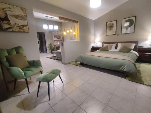 新基奥斯Wine Reflections Apartment near Nafplio的一间卧室配有一张床、一把椅子和一张沙发