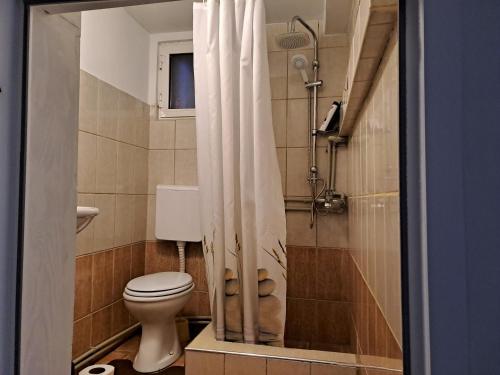 JurumleriSvetlana's Apartments的一间带卫生间和淋浴的浴室