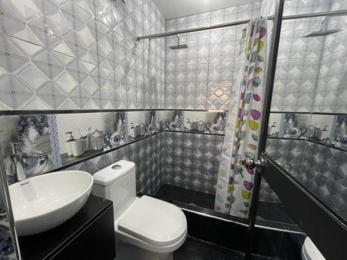 阿亚库乔HOSPEDAJE SAMAY WASI (AYACUCHO)的浴室配有卫生间、盥洗盆和淋浴。