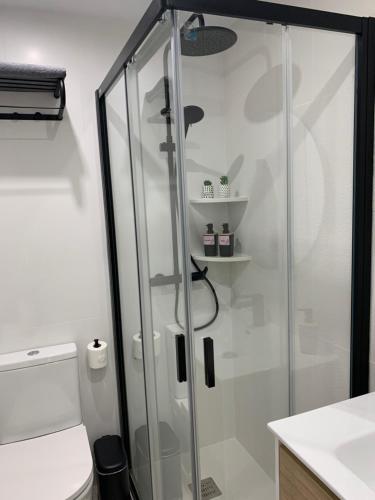 科尔多瓦APARTAMENTO MEDINA AZAHARA的一间带卫生间的浴室内的玻璃淋浴间