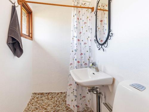 沃尔丁堡Holiday home Vordingborg X的一间带水槽和淋浴帘的浴室
